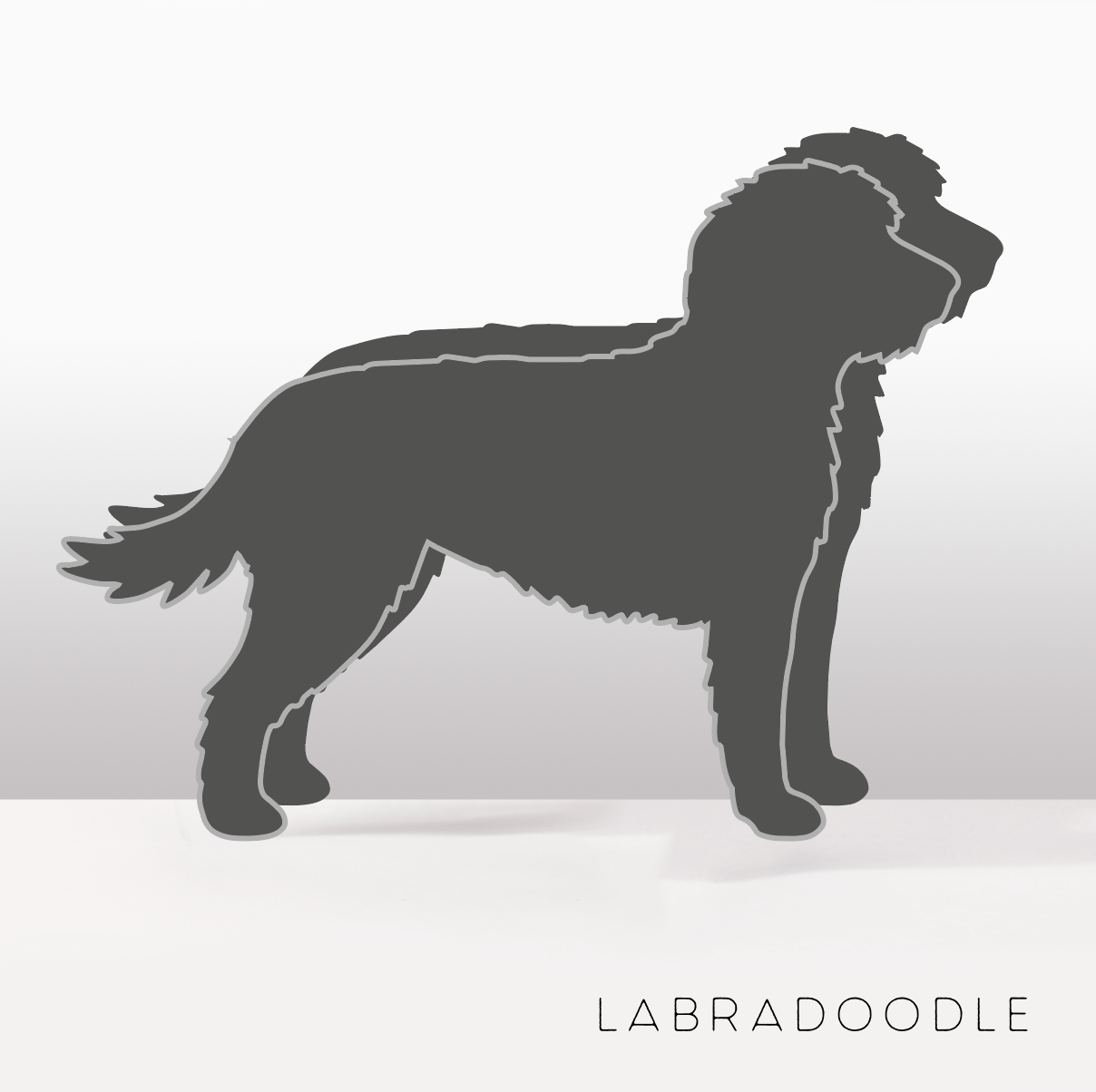 PflanzHunde LIMITED EDITION