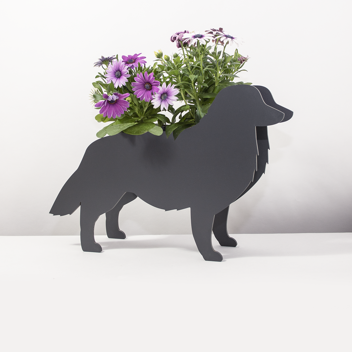 PflanzHunde LIMITED EDITION