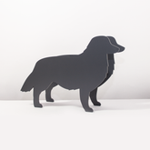 PflanzHunde LIMITED EDITION