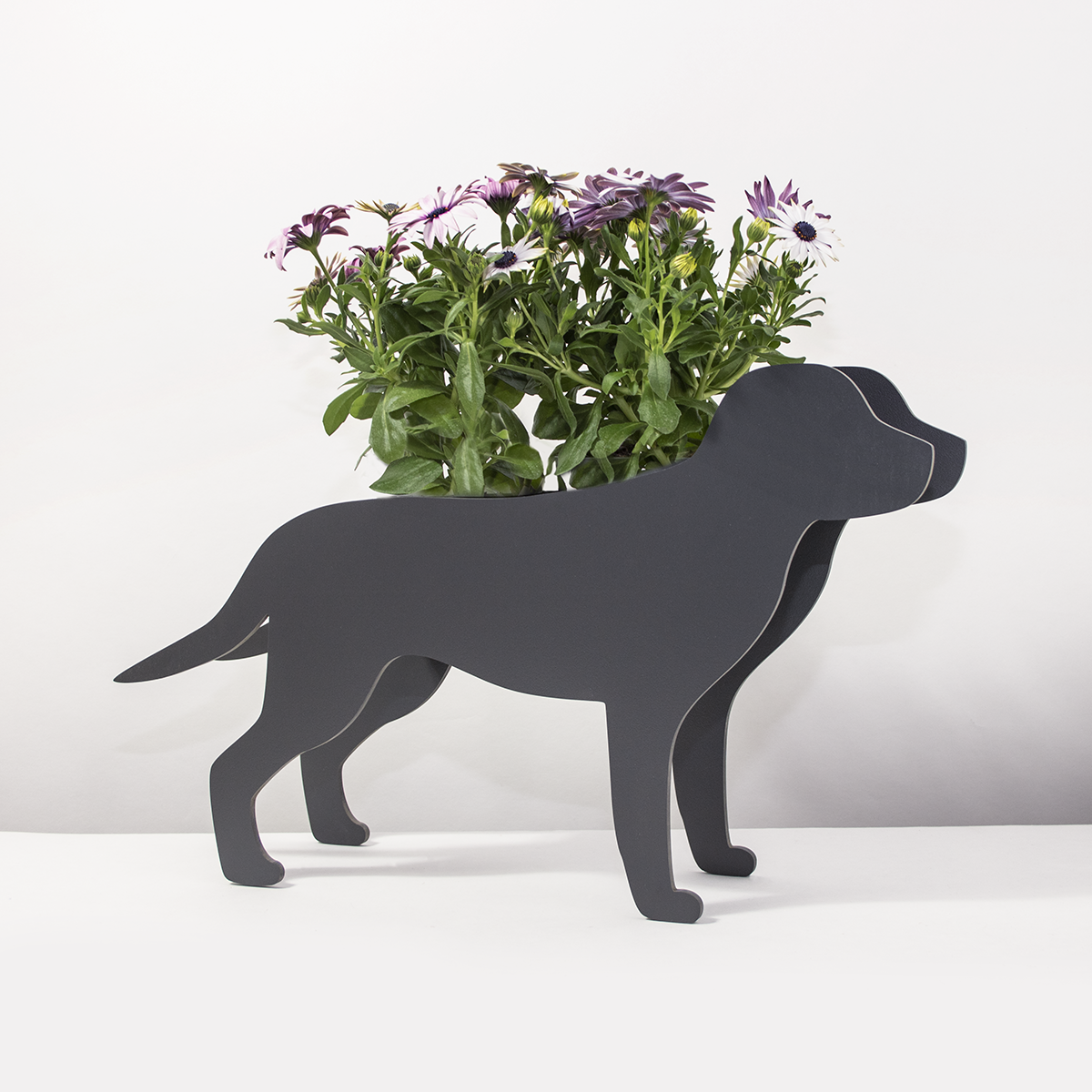 PflanzHunde LIMITED EDITION