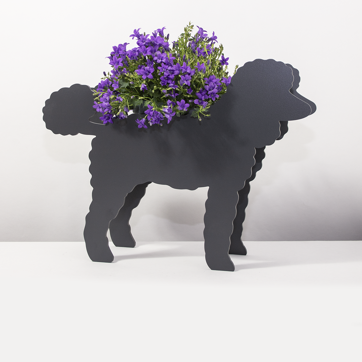 PflanzHunde LIMITED EDITION