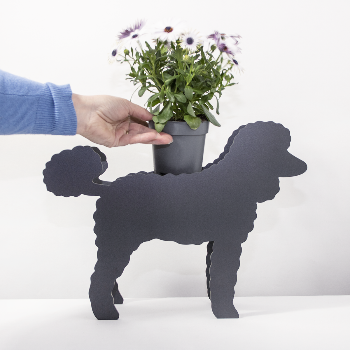 PflanzHunde LIMITED EDITION