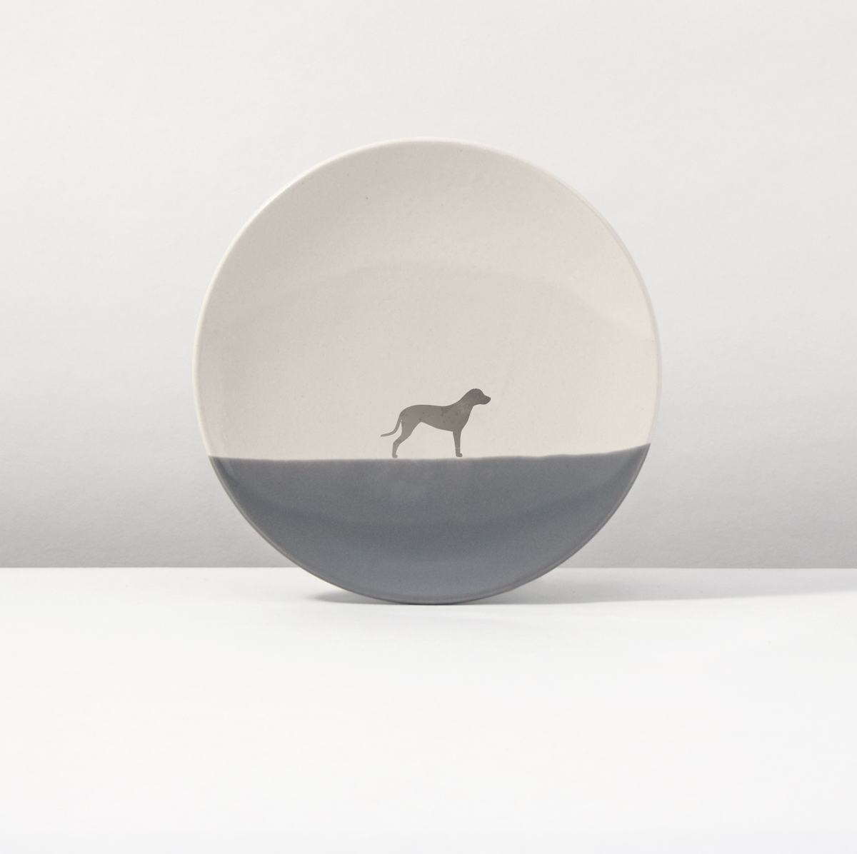 Plate 20 Rhodesian Ridgeback Dusty