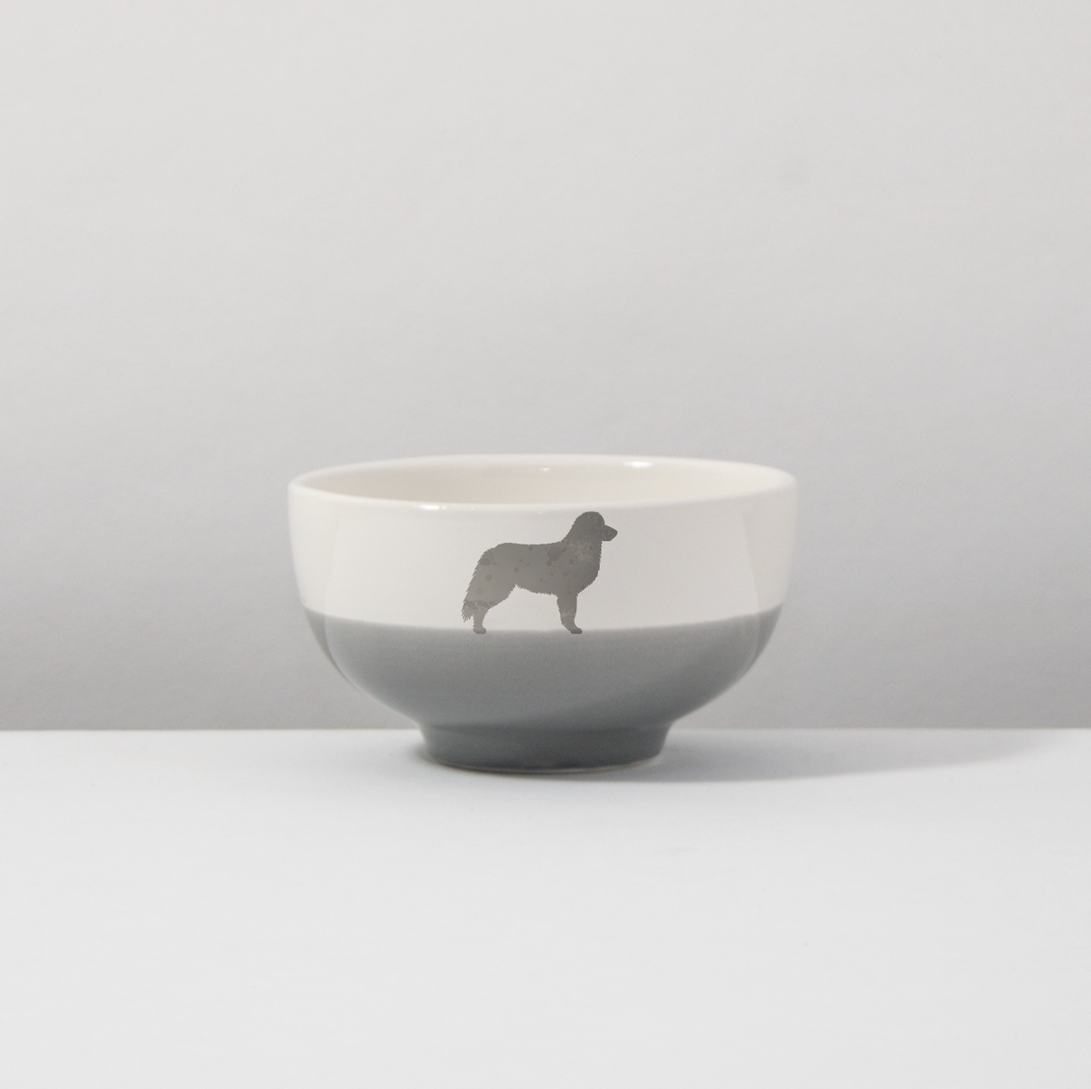 Bowl Bernese Mountain Dog Dusty
