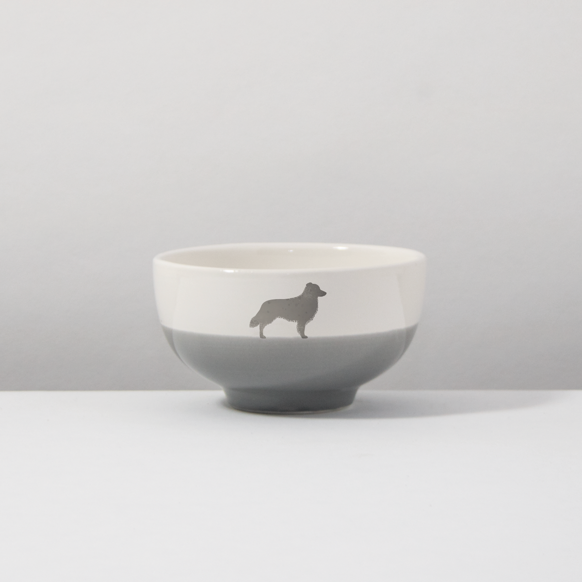 Bowl Border Collie Dusty