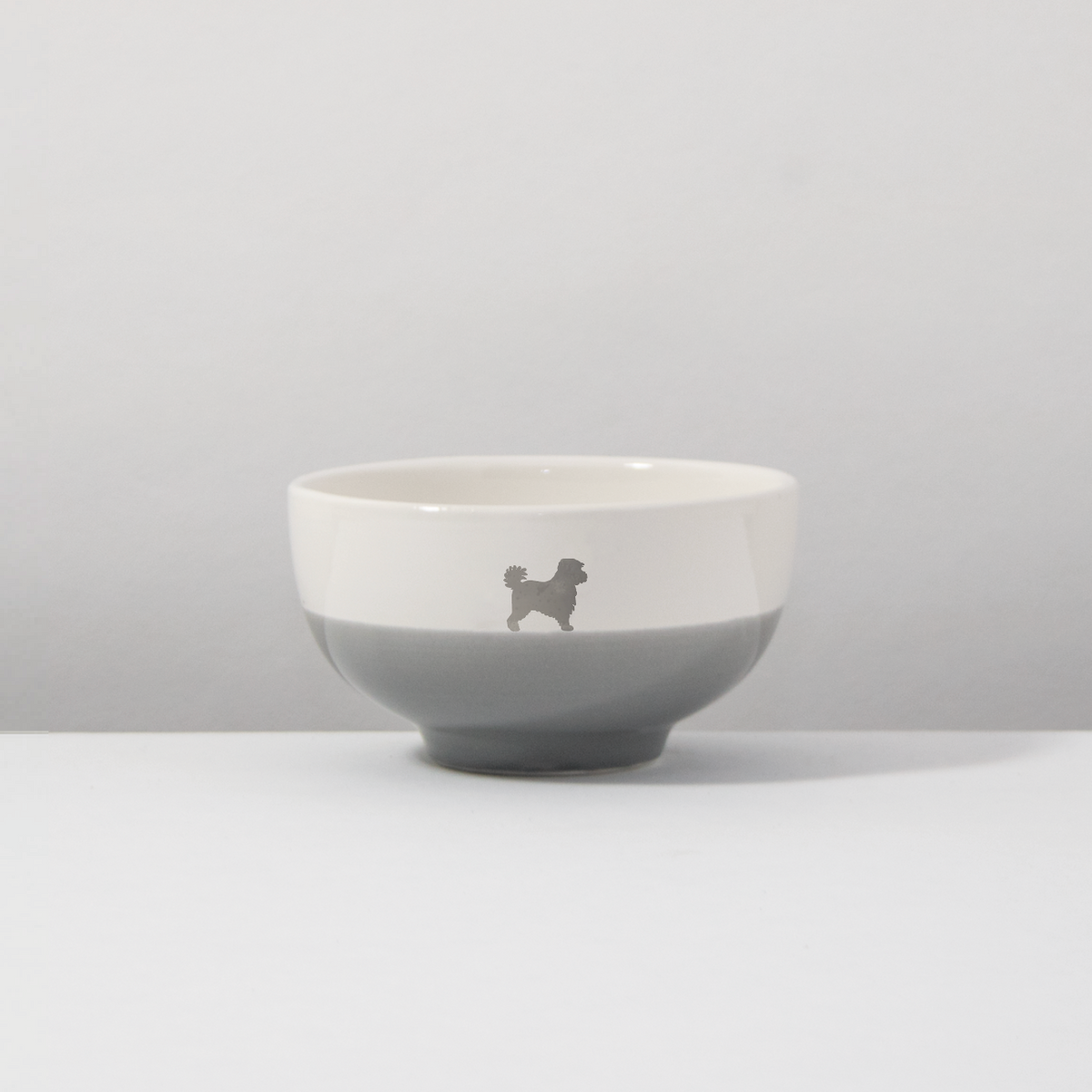 Bowl Havanese Dusty