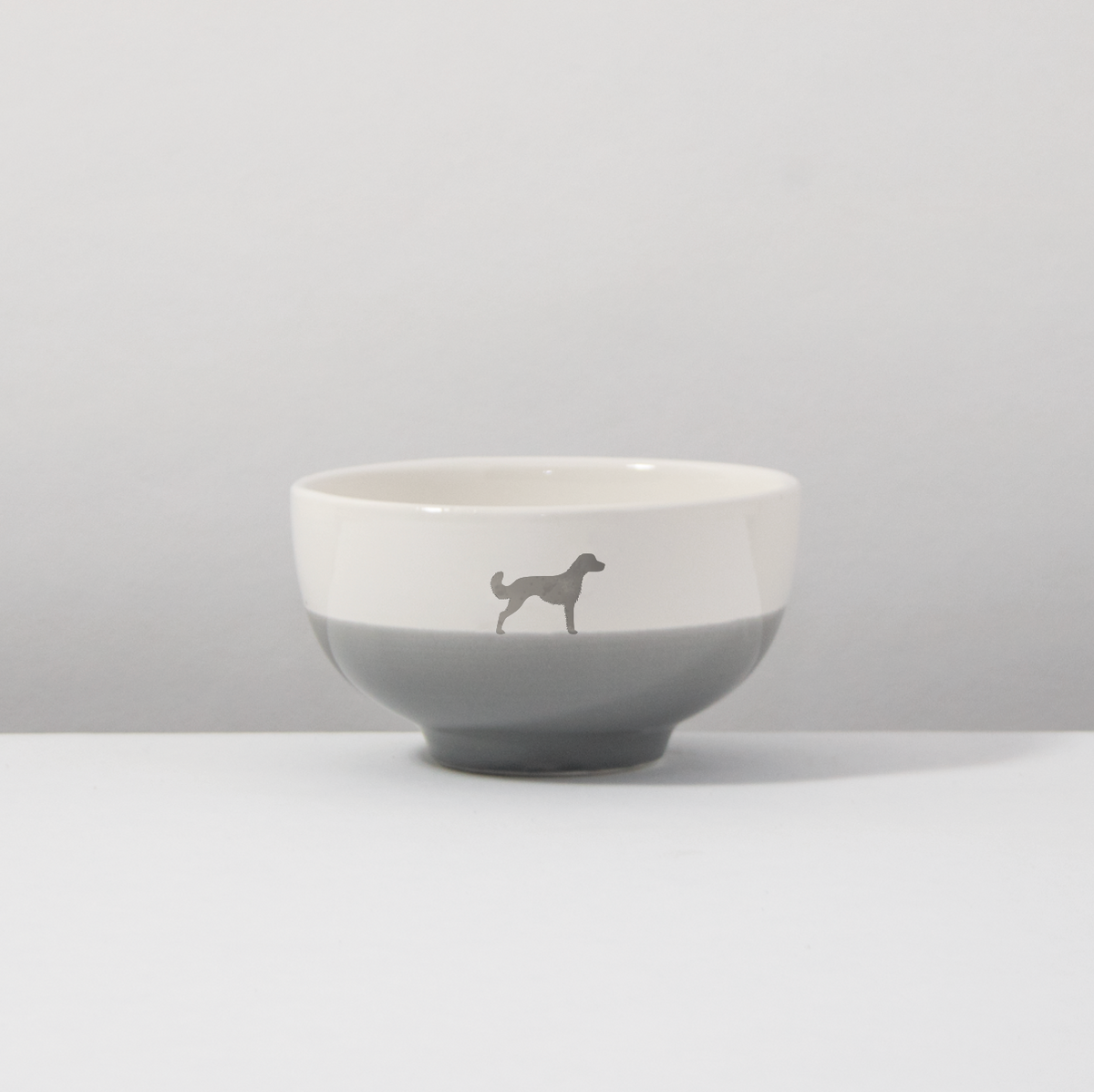 Small Münsterländer Dusty bowl