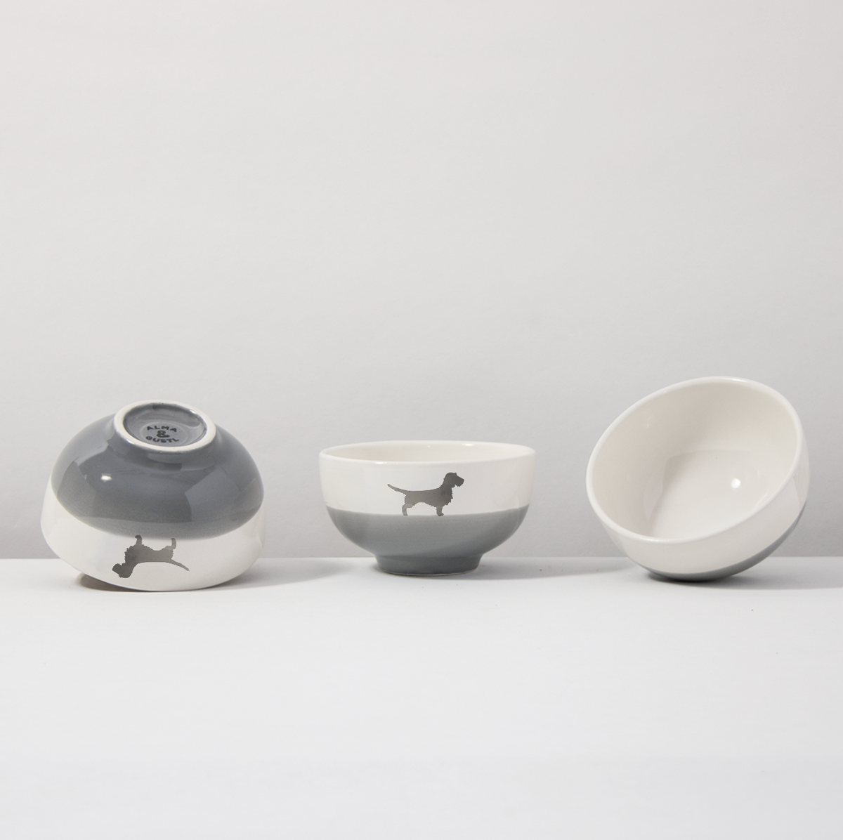 Schüssel 13 Rauhaardackel Dusty