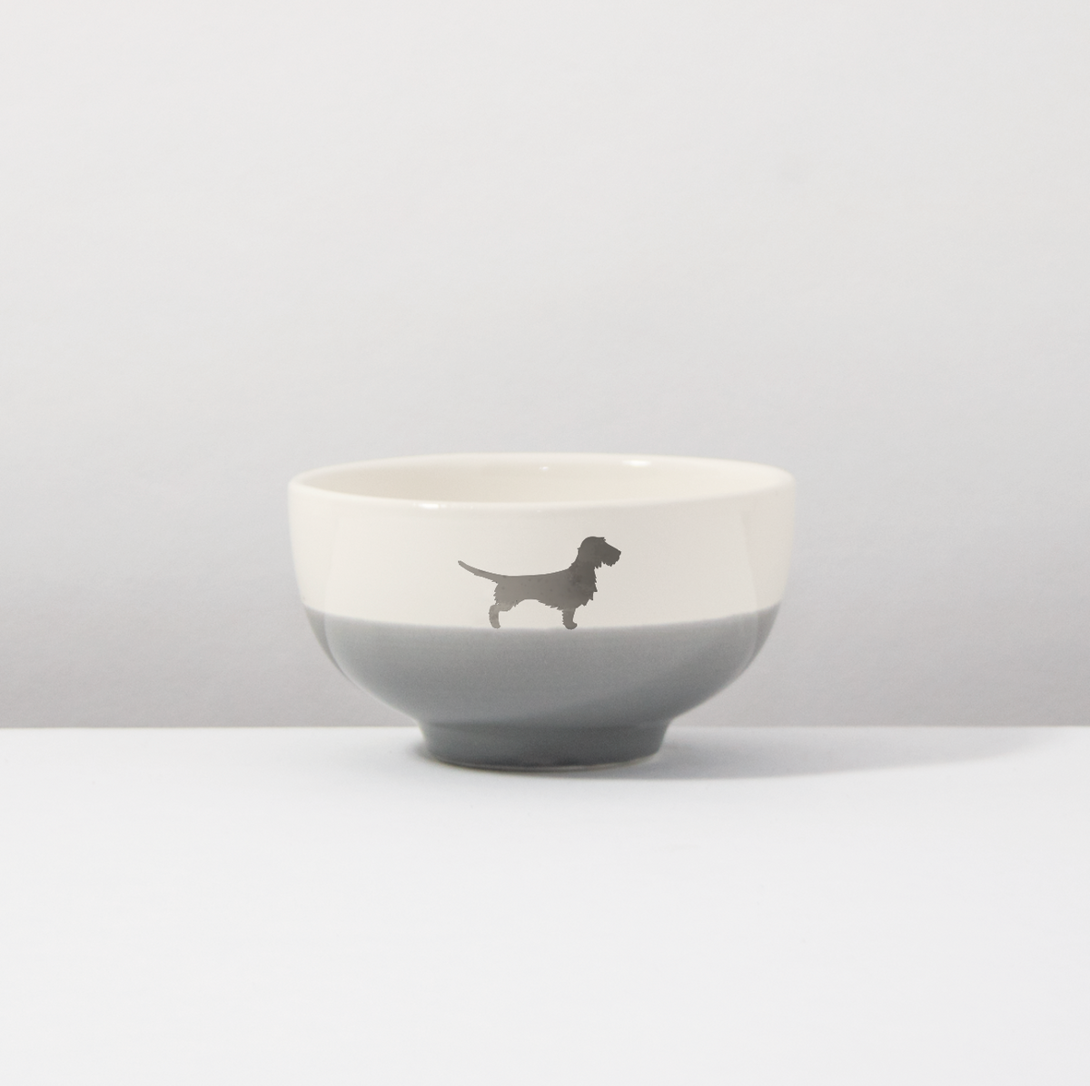 Schüssel 13 Rauhaardackel Dusty