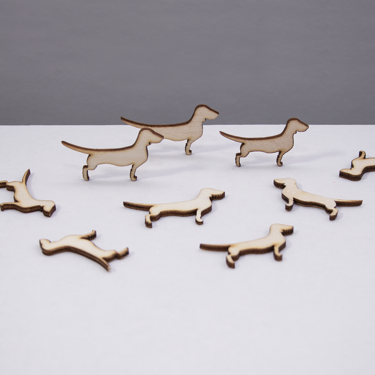 Stray dachshund Small but fine