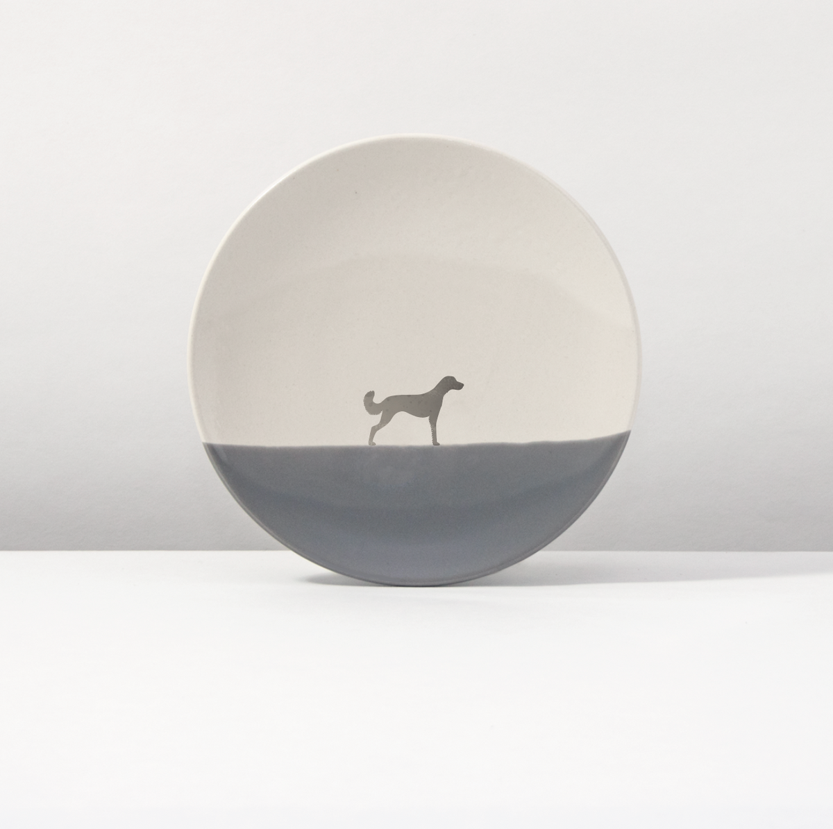 Plate 20 Weimaraner Longhair Dusty