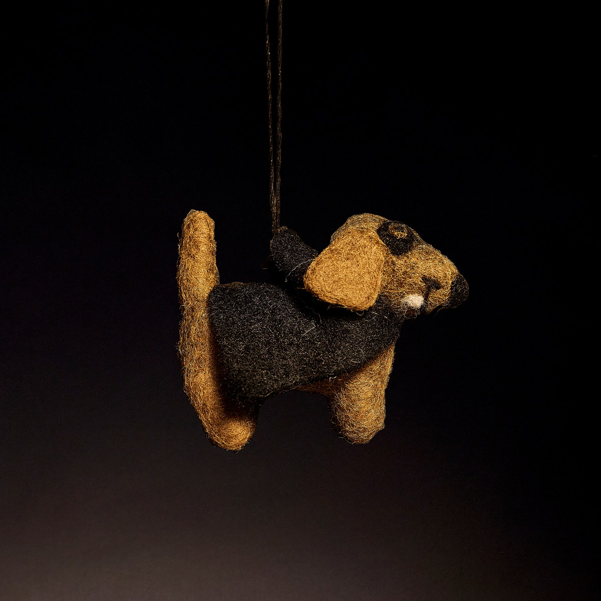 Vampirdackel bei Alma & Gustl