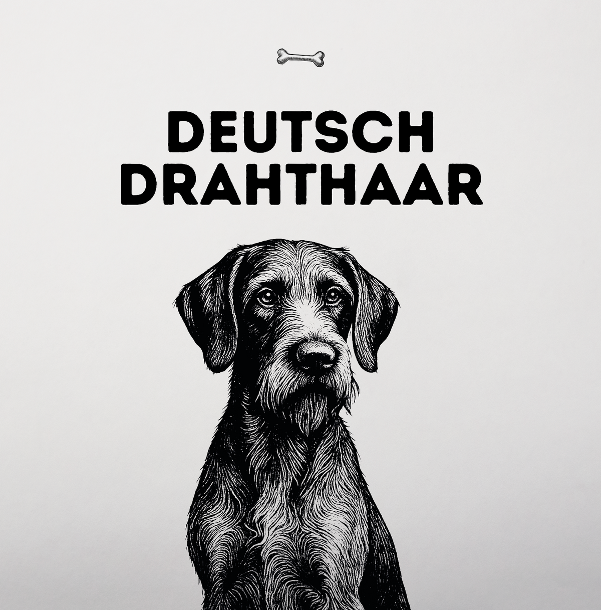 Deutsch Drahthaar – Der bärtige Allrounder für Feld, Wald und Wasser