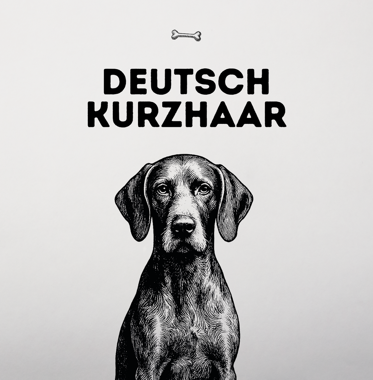 Deutsch Kurzhaar – Feine Nase, großes Herz und Energie für zwei