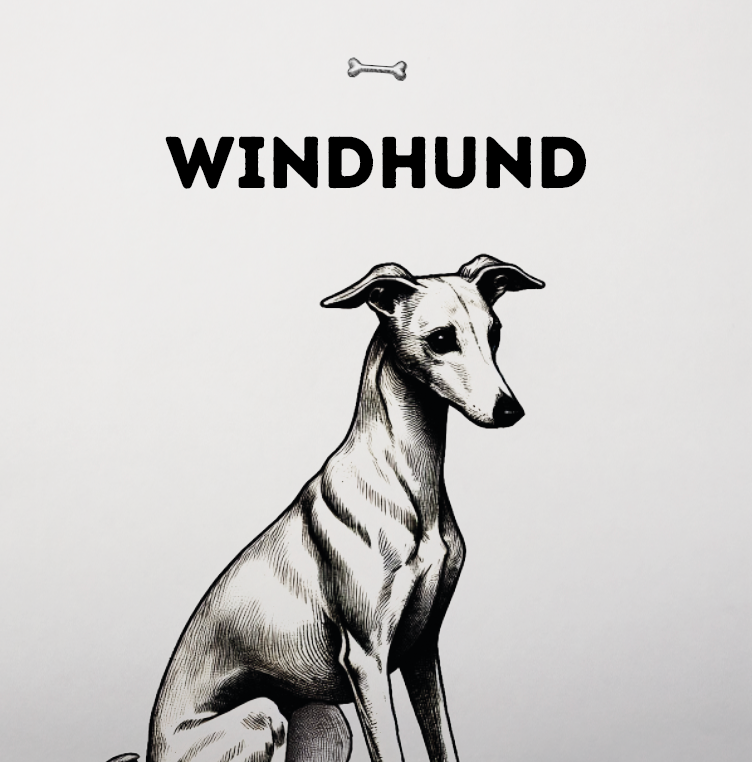 Whippet – Ein Sofakönig mit Rennwagen-Genen