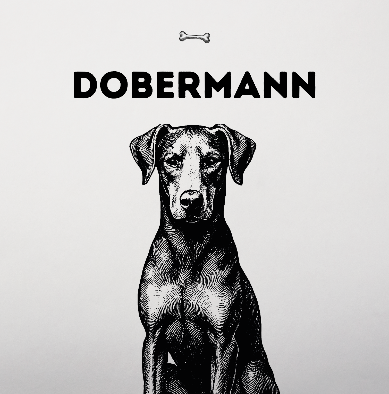 Dobermann