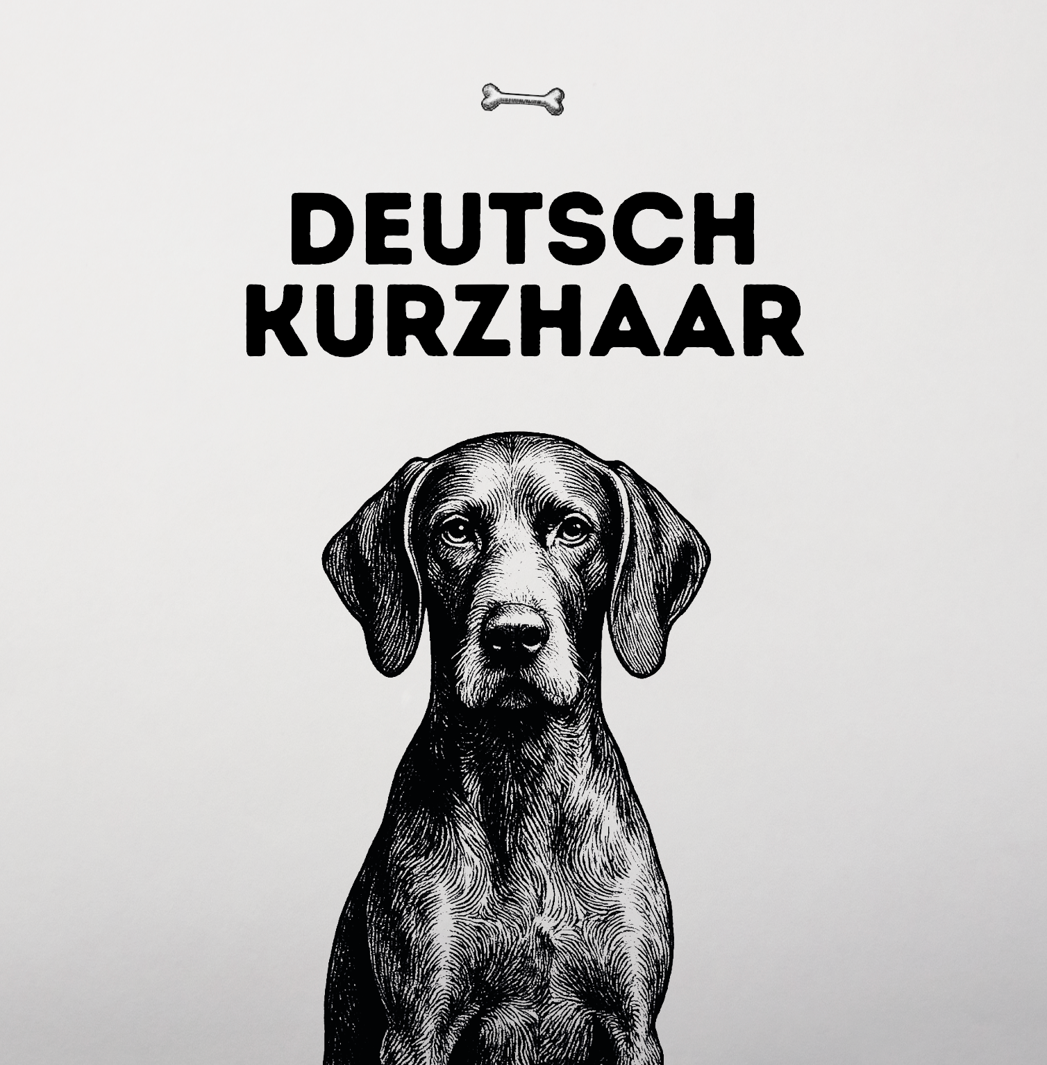 Deutsch Kurzhaar