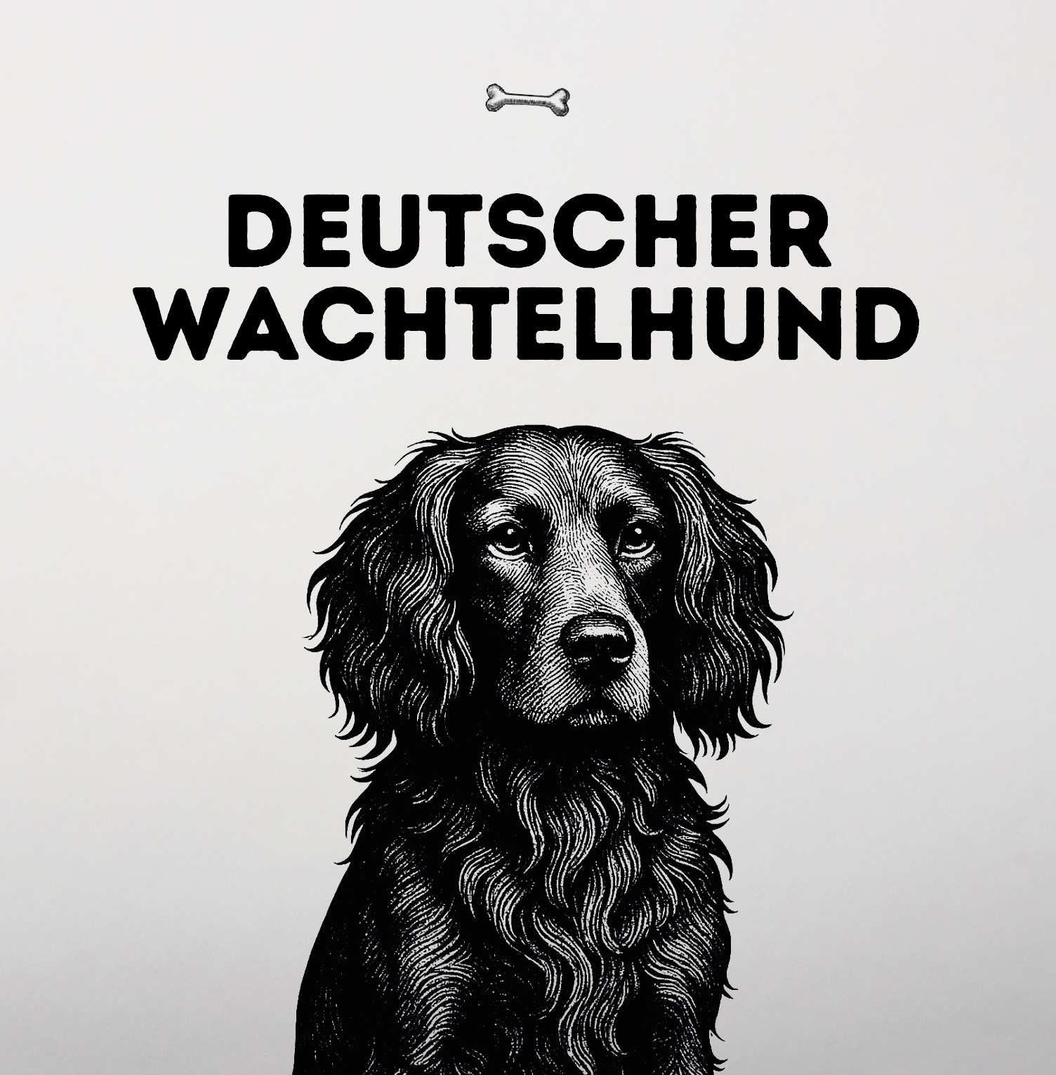 Deutscher Wachtelhund