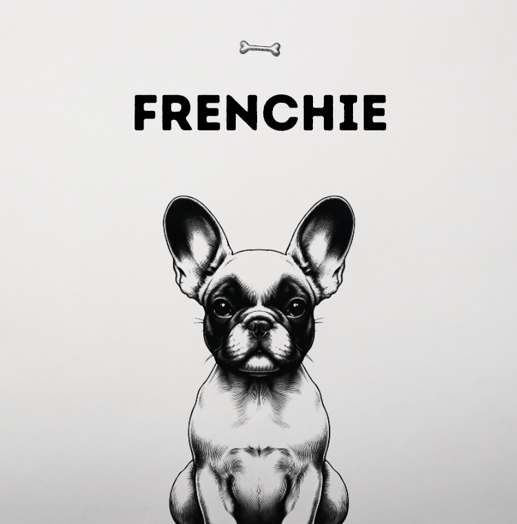 Frenchie