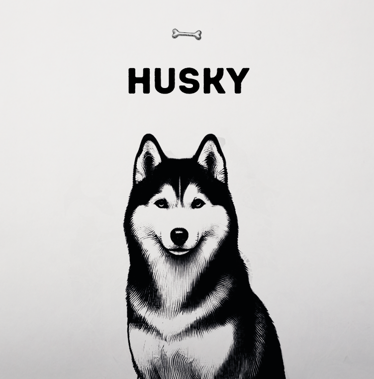 Husky