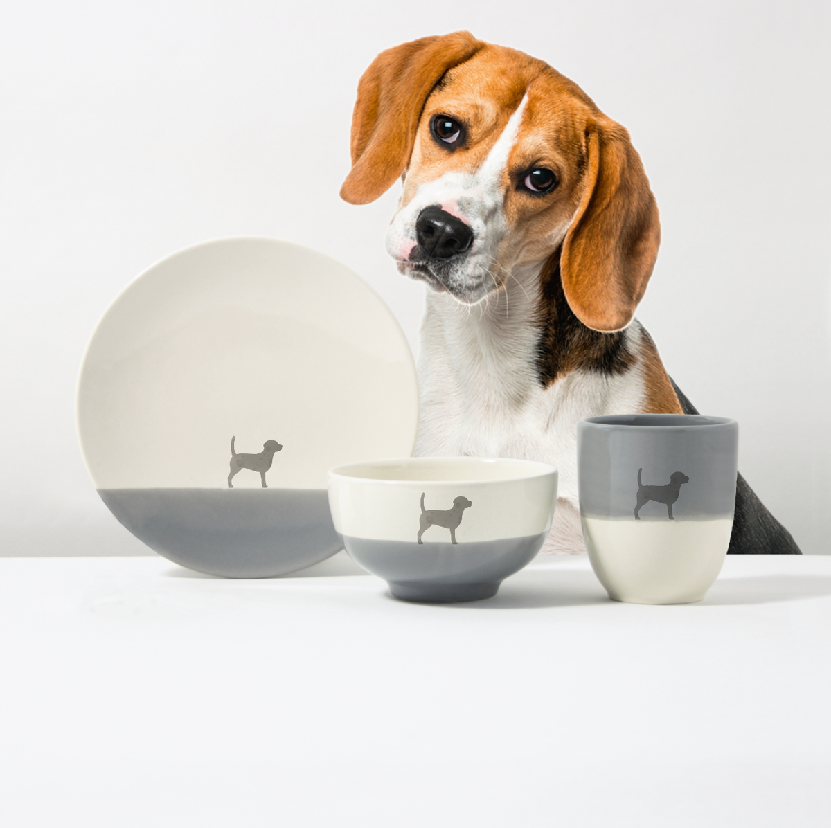 Basic-Set Dusty Beagle