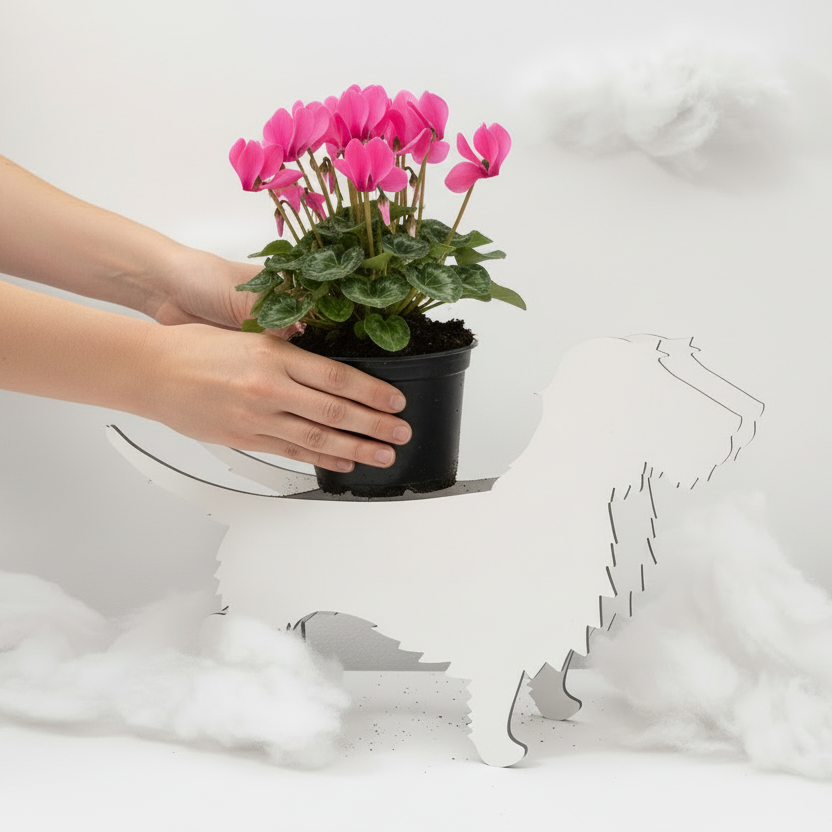 PflanzHunde LIMITED EDITION Cloud