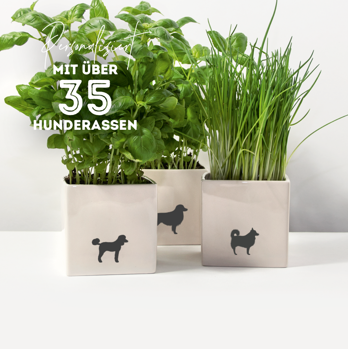 Blumentopf Lieblingshund