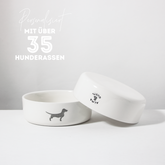 Dog Bowl Small but Fine Snow