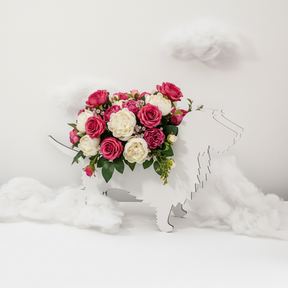 PflanzHunde LIMITED EDITION Cloud