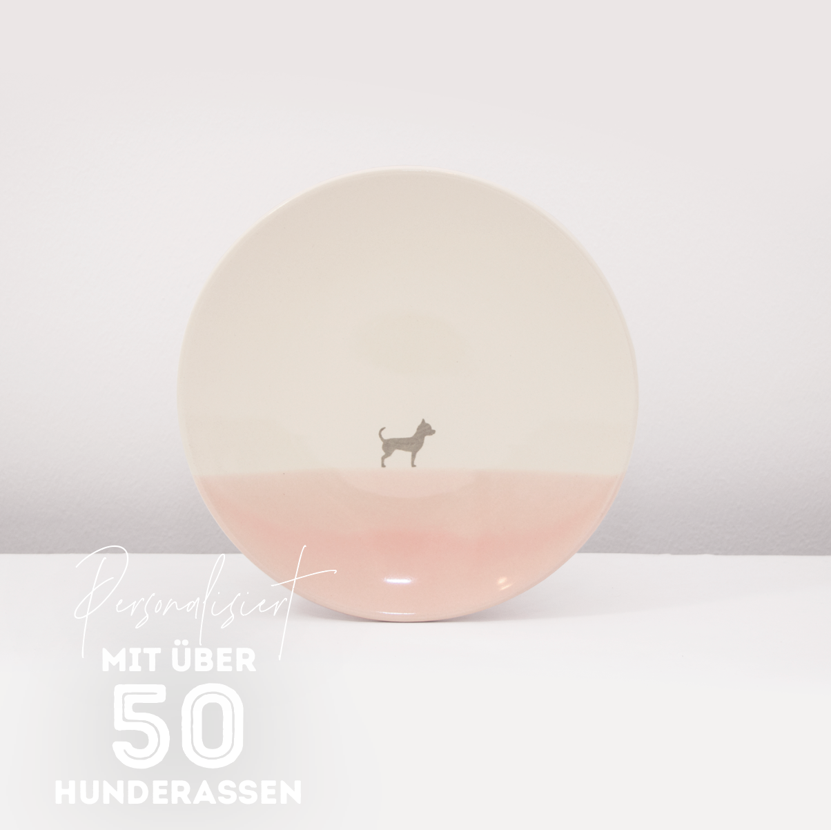 Teller Lieblingshund Powder Rose