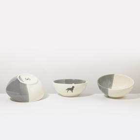 Schüssel Golden Retriever Dusty