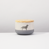 Leckerlidose 8 Golden Retriever