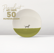 Teller Lieblingshund Olive