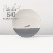 Teller Lieblingshund Dusty