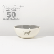 Bowl Dachshund Sand