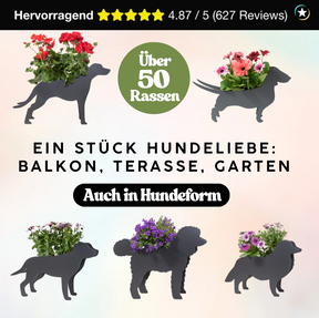 Plant dachshund LIMITED EDITION