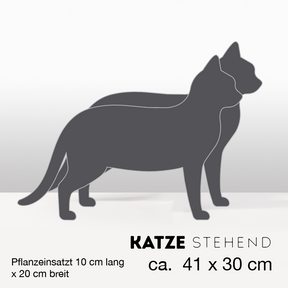 PflanzKatzen