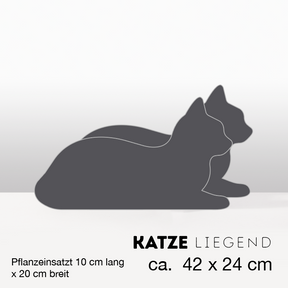PflanzKatzen