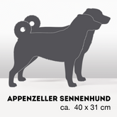 PflanzHunde LIMITED EDITION