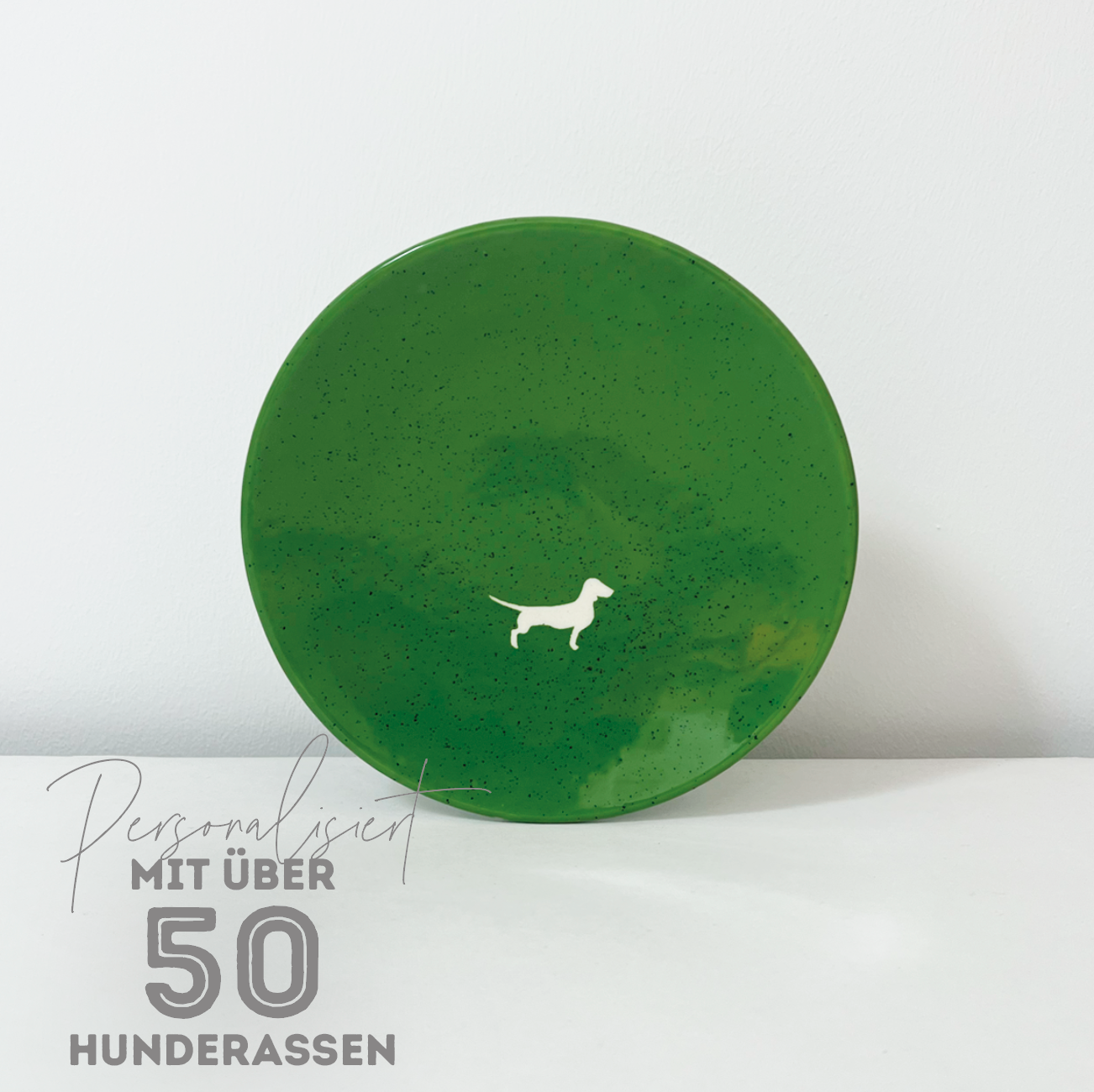 Teller Lieblingshund Matcha