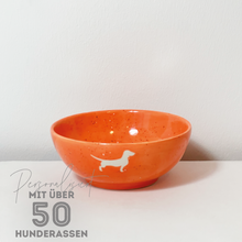 LIMITED EDITION: Schüssel 15 Lieblingshund Pumpkin