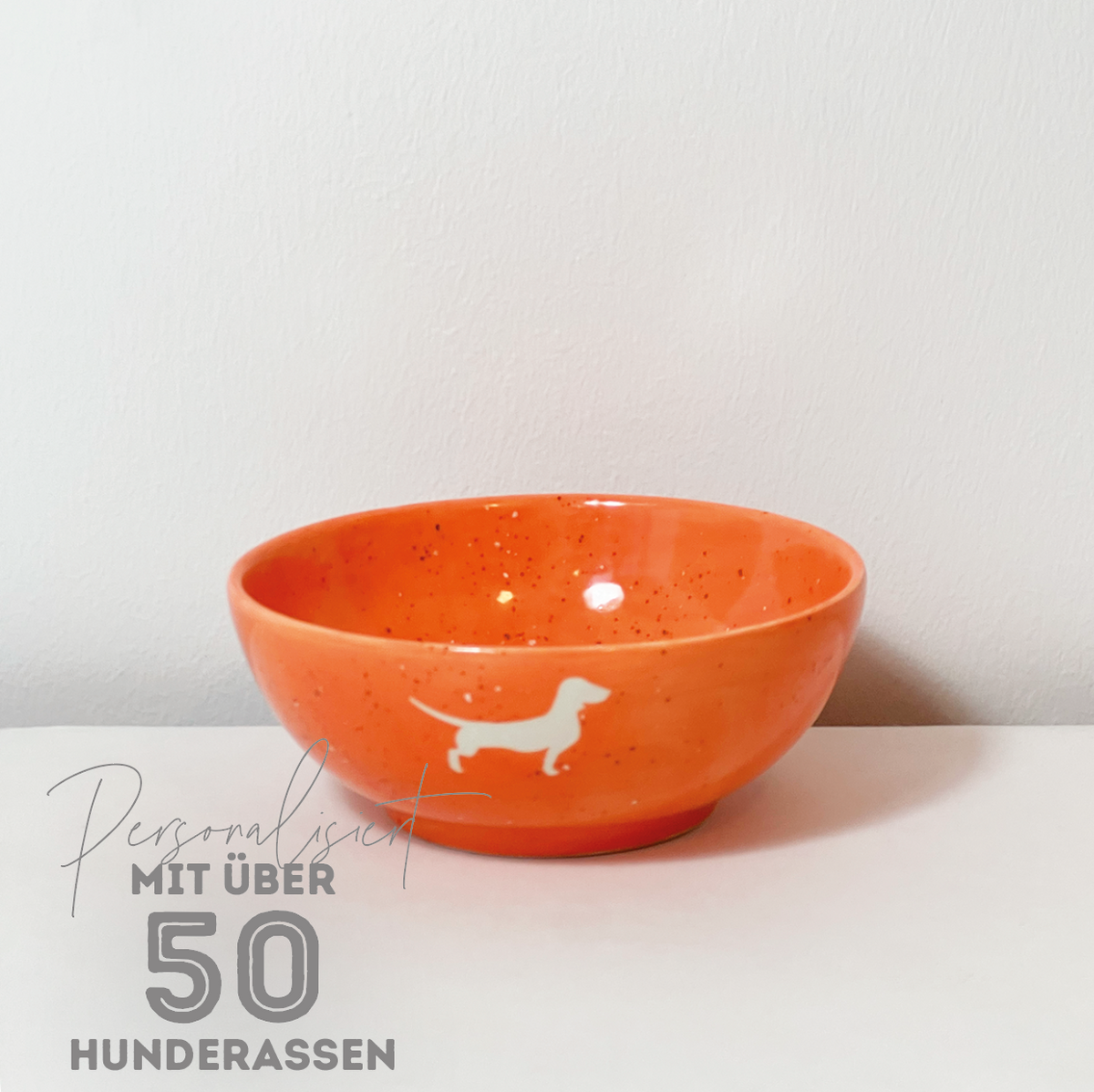 Bowl Dachshund Sand