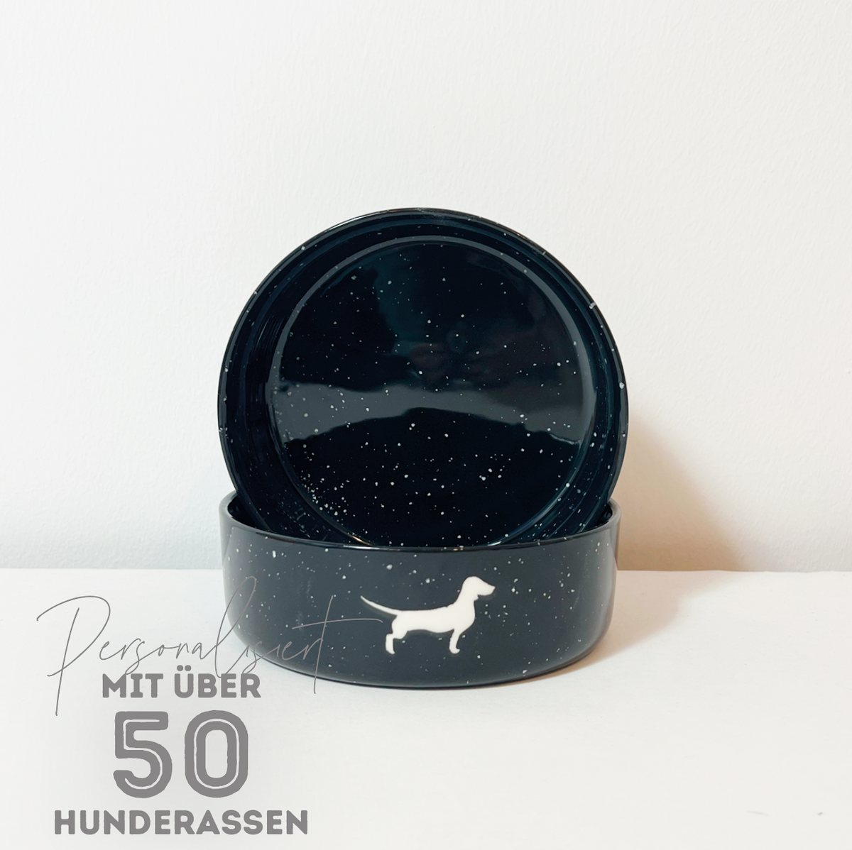 Dog Bowl Small but Fine Snow