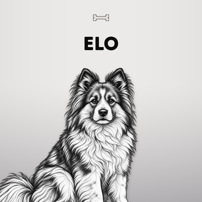 Kollektionsbild Elo