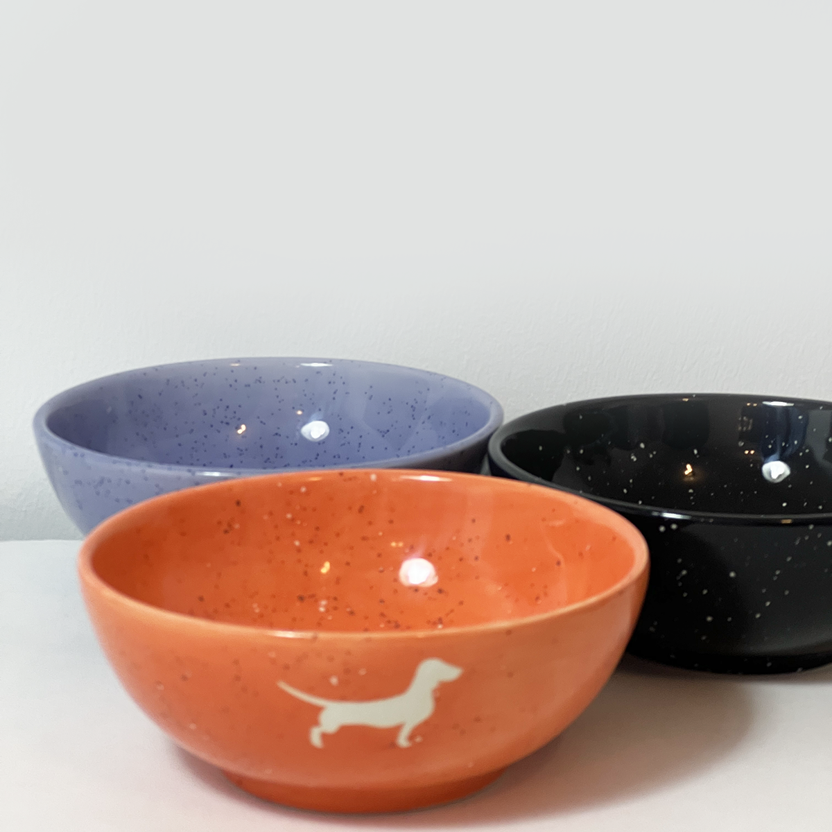 Bowl Dachshund Sand