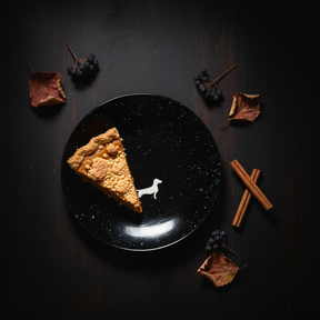 LIMITED EDITION: Teller Lieblingshund Night Sky