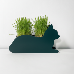 PflanzKatzen