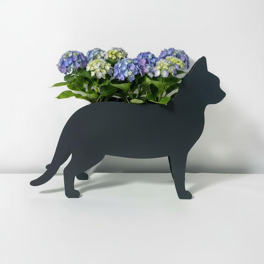 PflanzKatzen