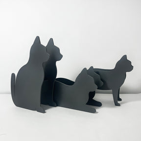 PflanzKatzen