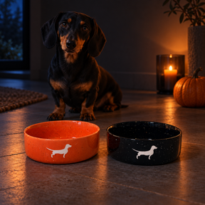 Hundenapf Lieblingshund Night Sky